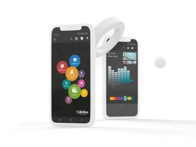 Brillux App Mock up 