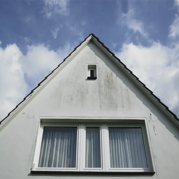 Ein Haus mit Algen