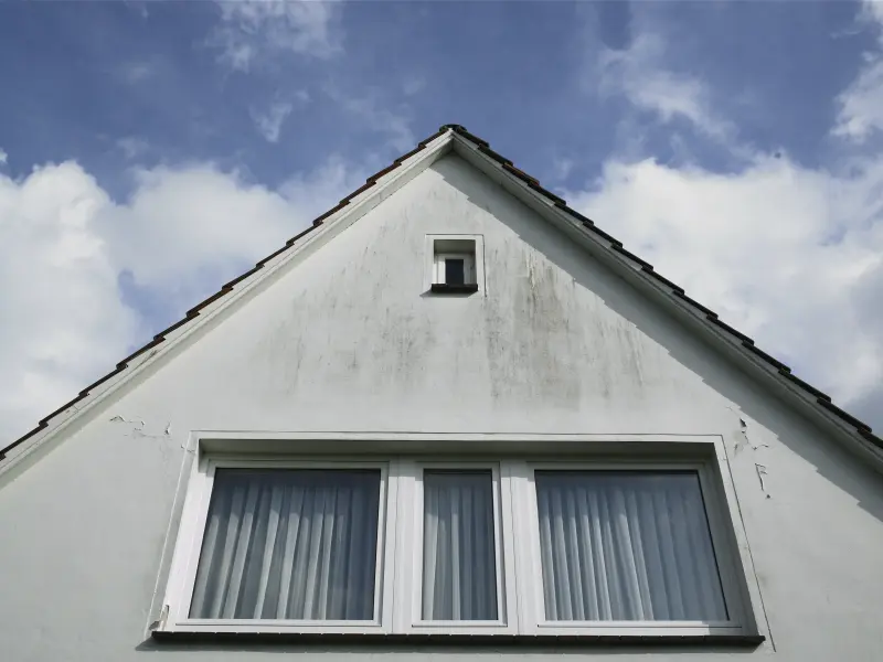 Ein Haus mit Algen