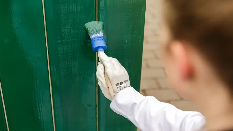 Malerin streicht Wand grün