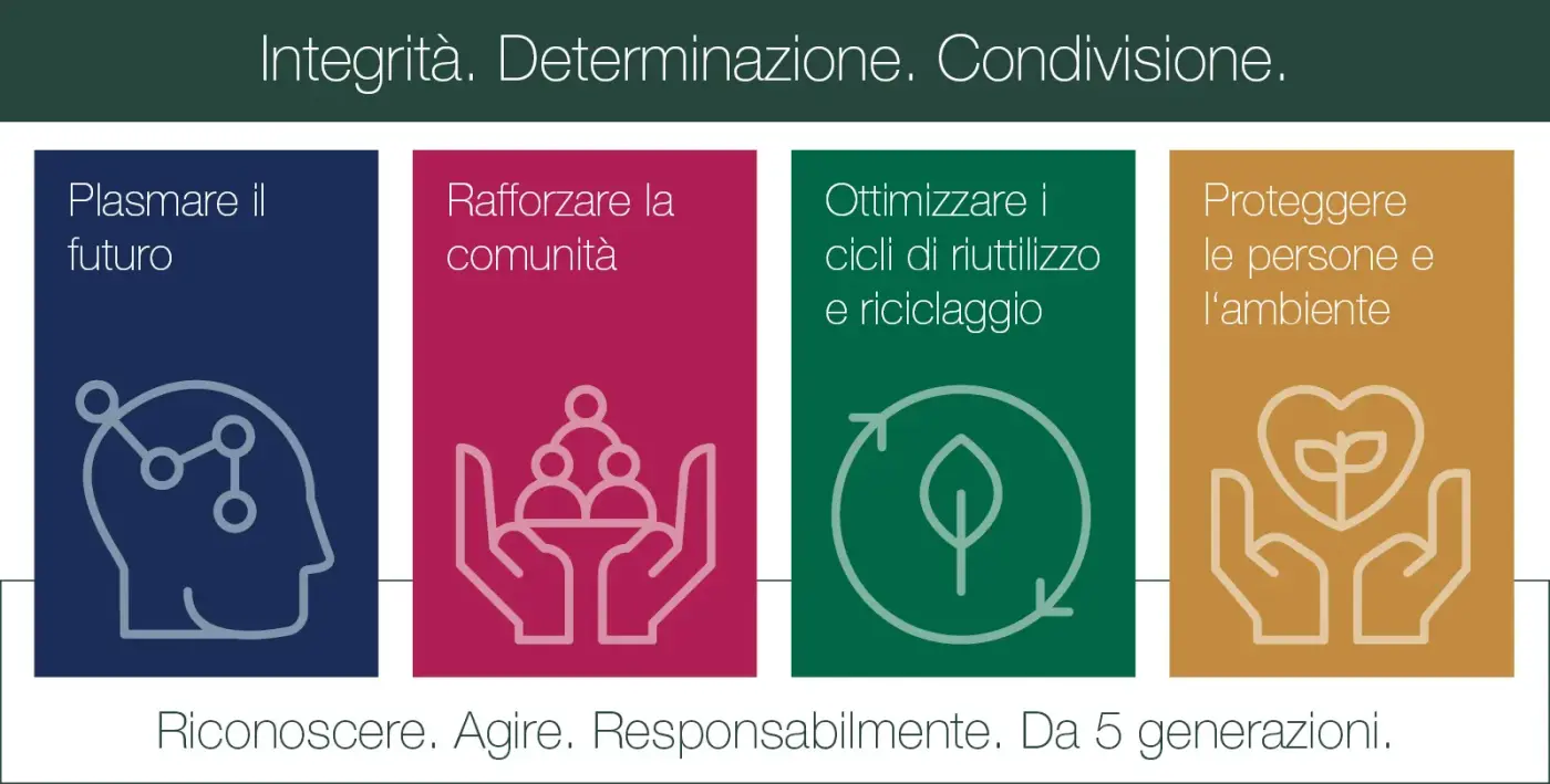 Infografica in diversi colori