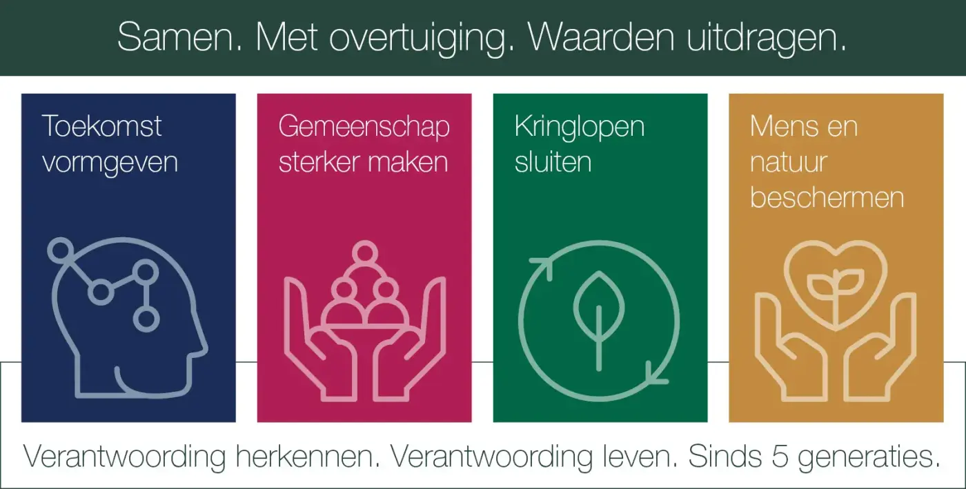 Een infographic in verschillende kleuren