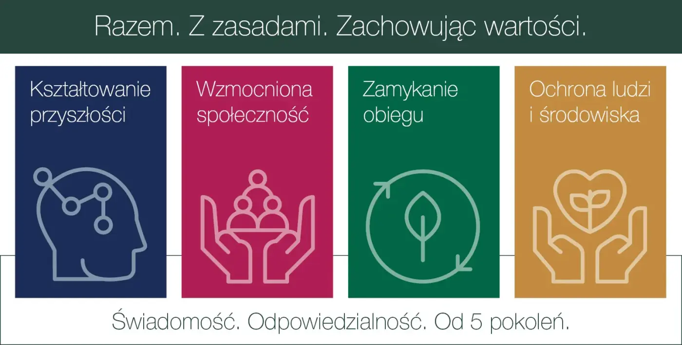 Infografika w różnych kolorach