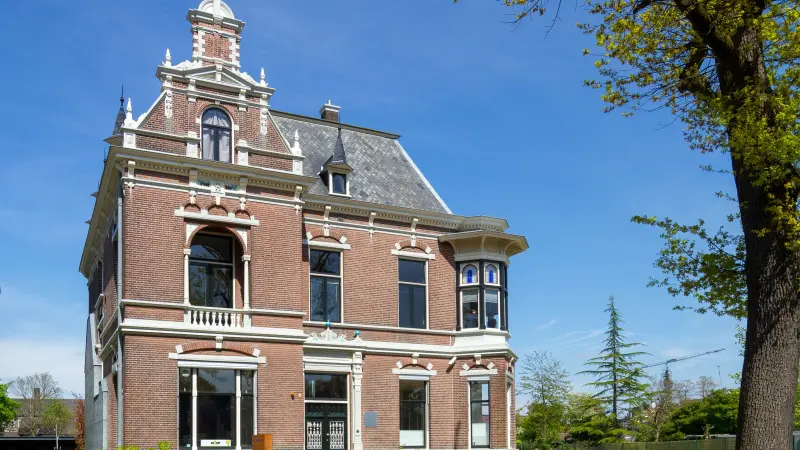 Alte Stadtvilla mit einem Baum 