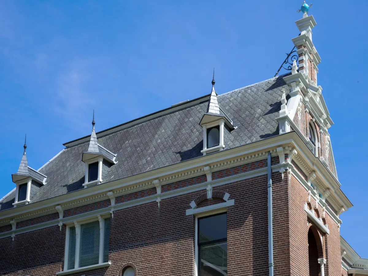 Dach mit Turmspitzen