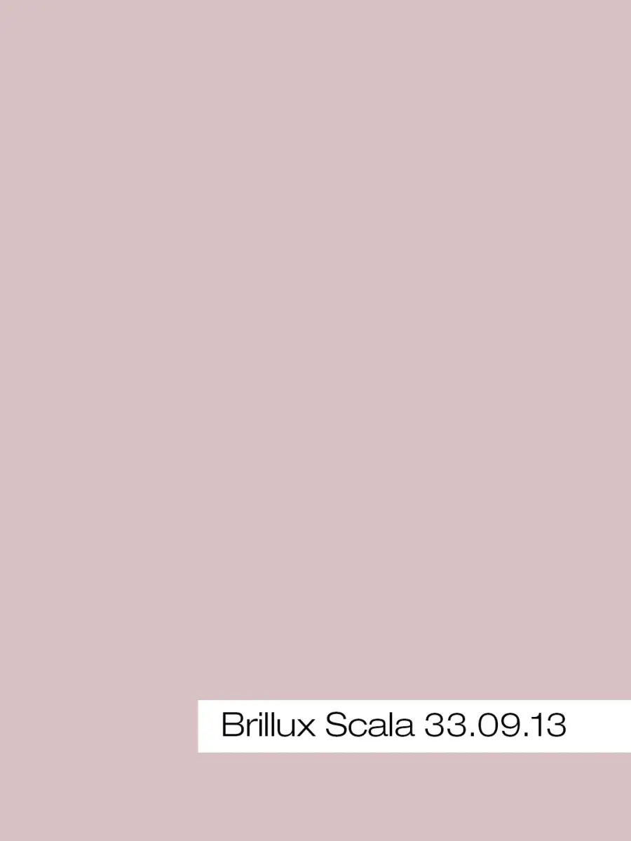 Scheda colore Rosa Nebbia