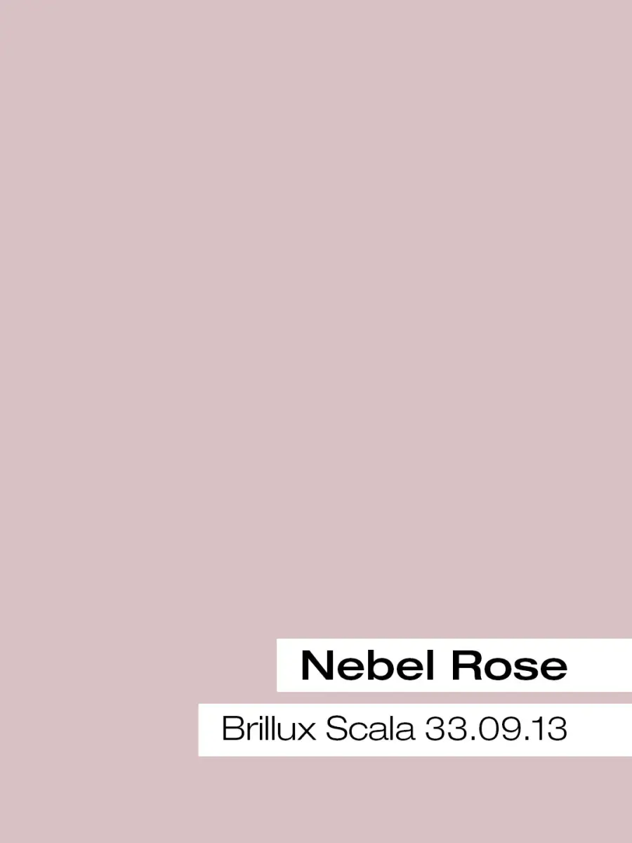 Farbkarte Nebelrose