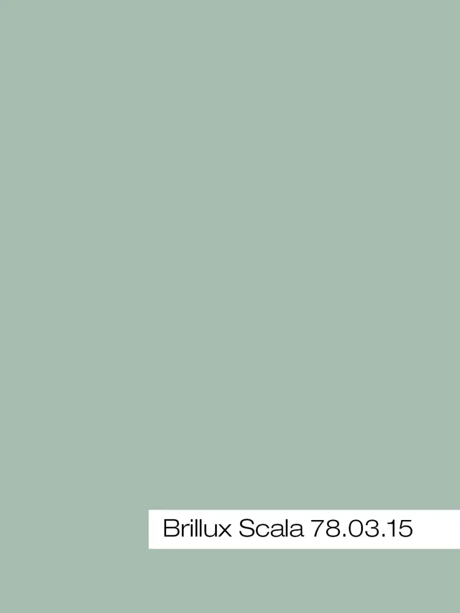 Scheda colore Menta Fresca