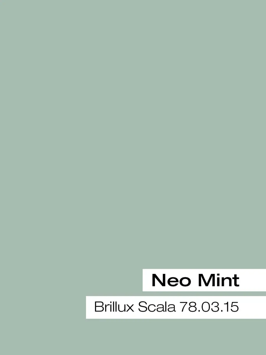 Farbkarte Neo Mint