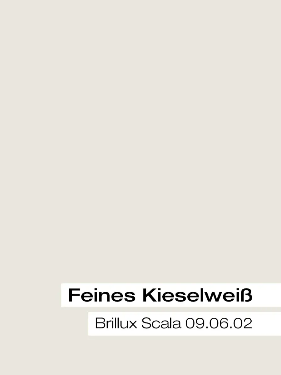 Farbkarte Kieselweiß