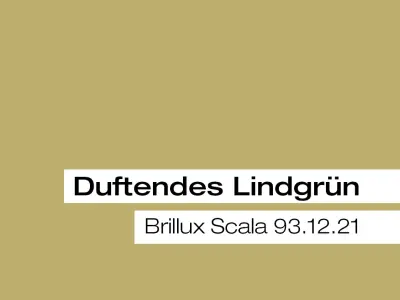 Abbildung Scala Farbton mit Bezeichnungs-Nr.