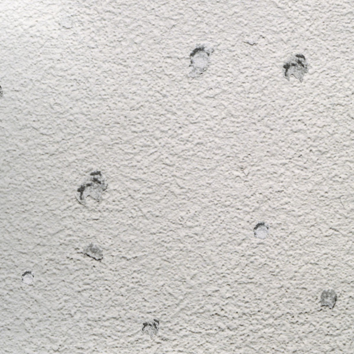 Durch den Einsatz von präventiven Schutzmaßnahmen und hagelresistenten Baumaterialien lassen sich derartige Schadensbilde wirkungsvoll verhindern.