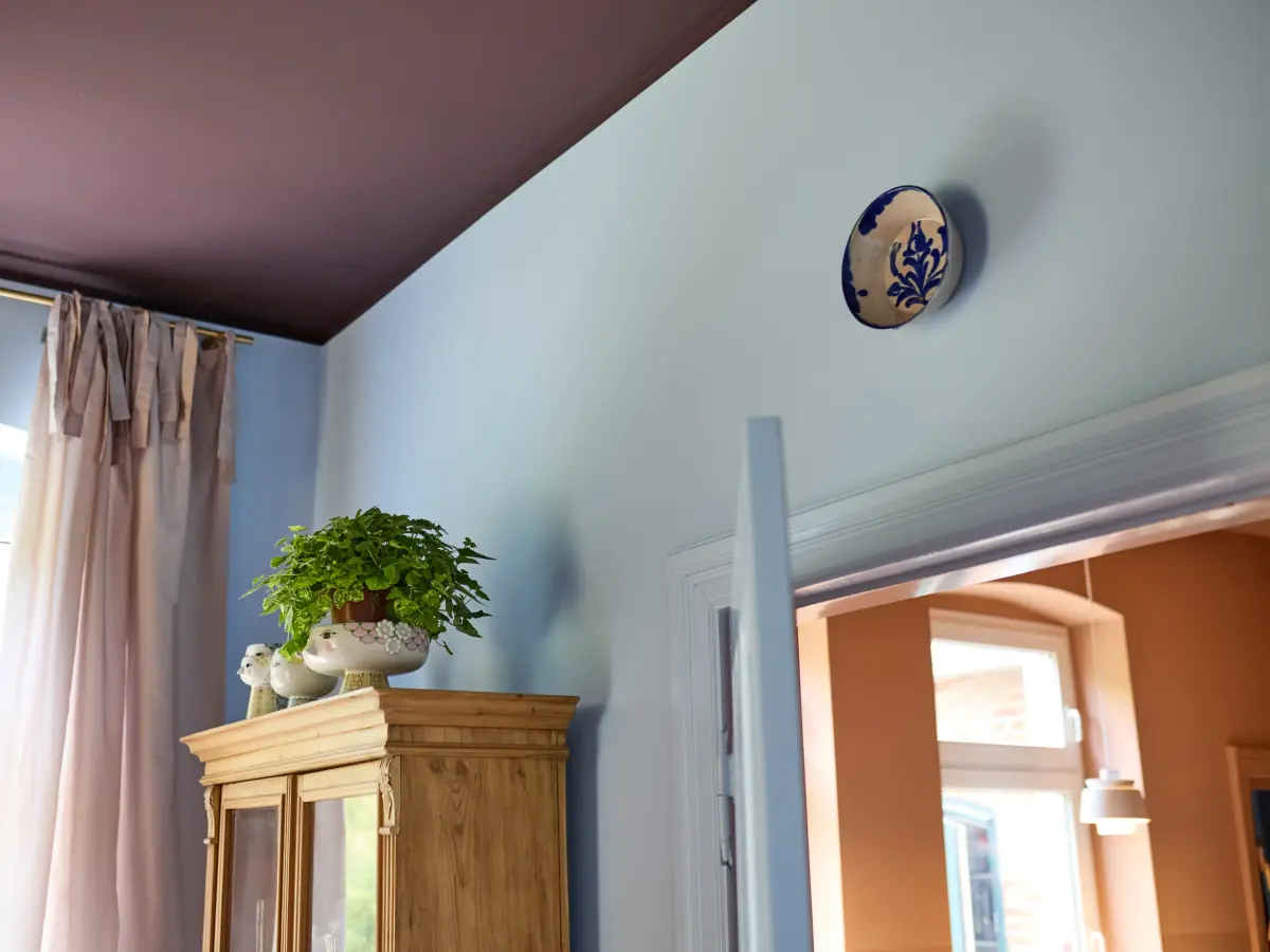 Die lilafarbene Decke hebt sich von der himmelblauen Wand ab