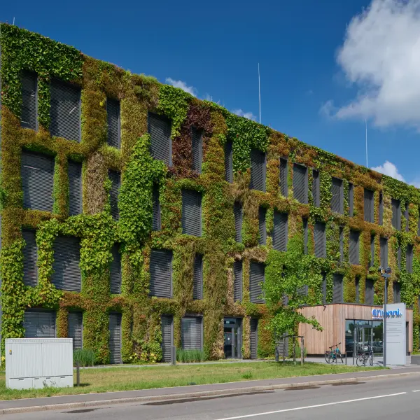 begrünte Fassade Blockgebäude