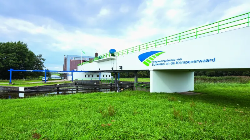 Wiese mit weißer Brücke