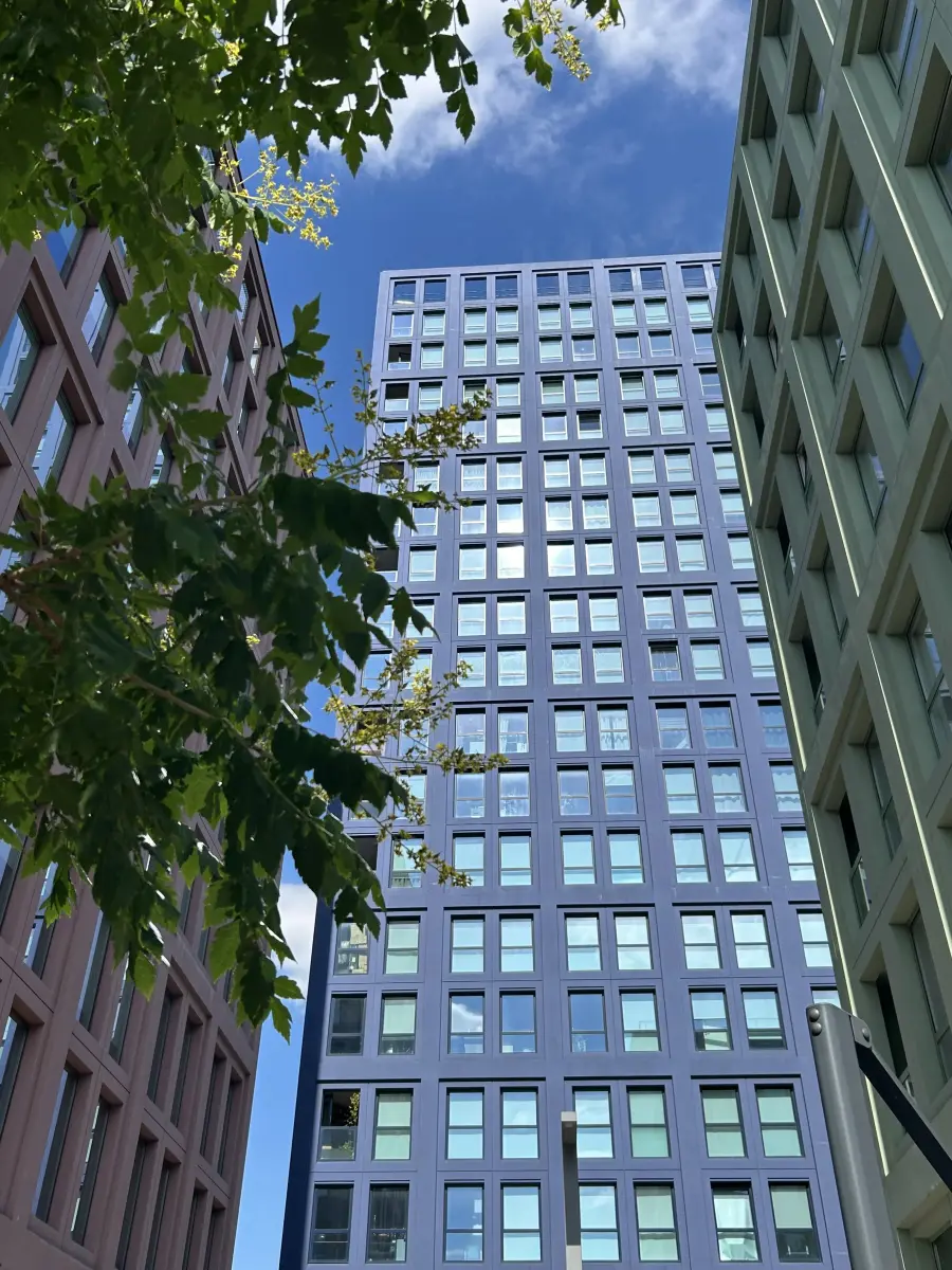 Tiefwinkelaufnahme dreier farbiger Kubusbauten mit regelmäßigen Fensterquadraten, bewachsenen Ästen im Vordergrund und blauem Himmel.