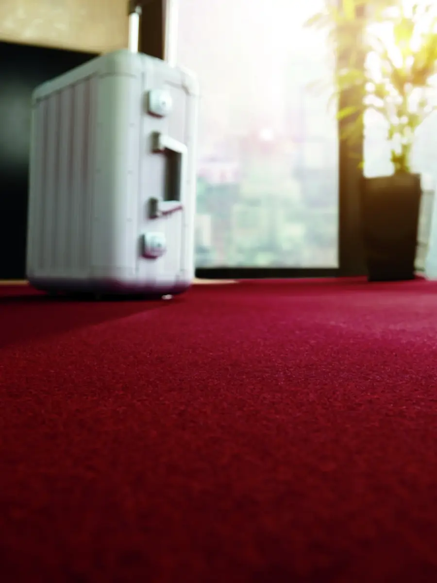 Ein Wohnzimmer mit rotem Nadelvlies-Teppich