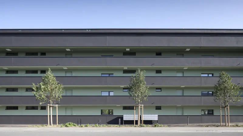 Moderne Wohngebäude-Fassade in dunklen und hellgrünen Farben mit horizontalen Balkonen und jungen Bäumen im Vordergrund.