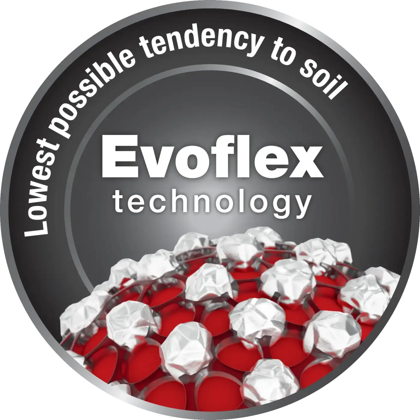 Evoflex logo