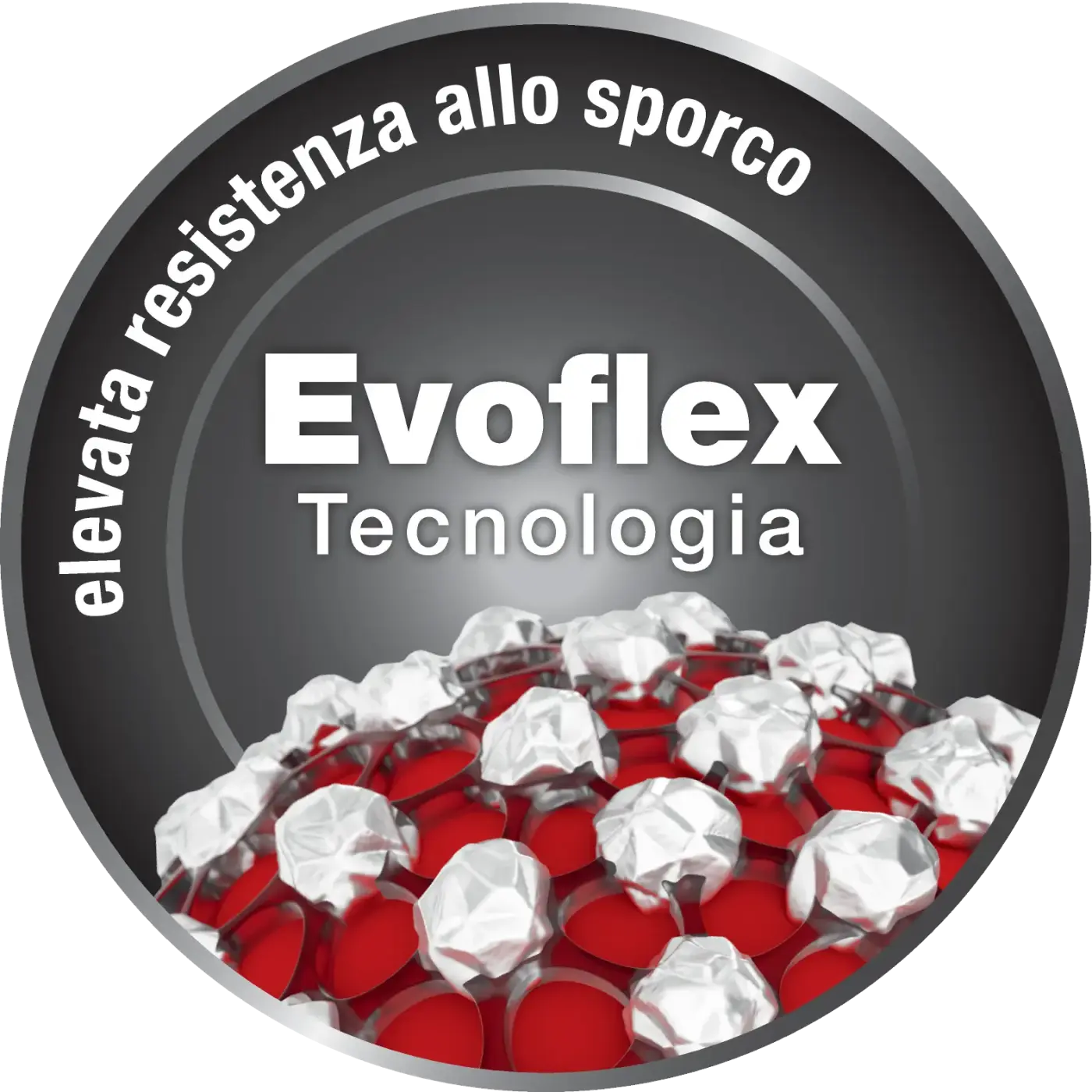Logo Evoflex