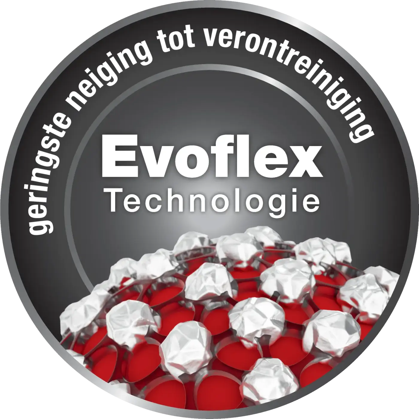 Evoflex-logo