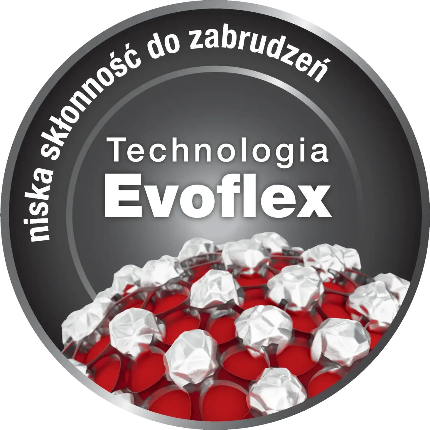 Logo Evoflex