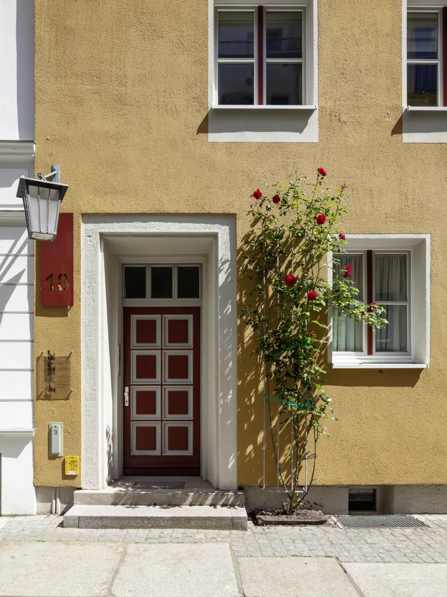 Nahaufnahme Haustür mit Rosenstock