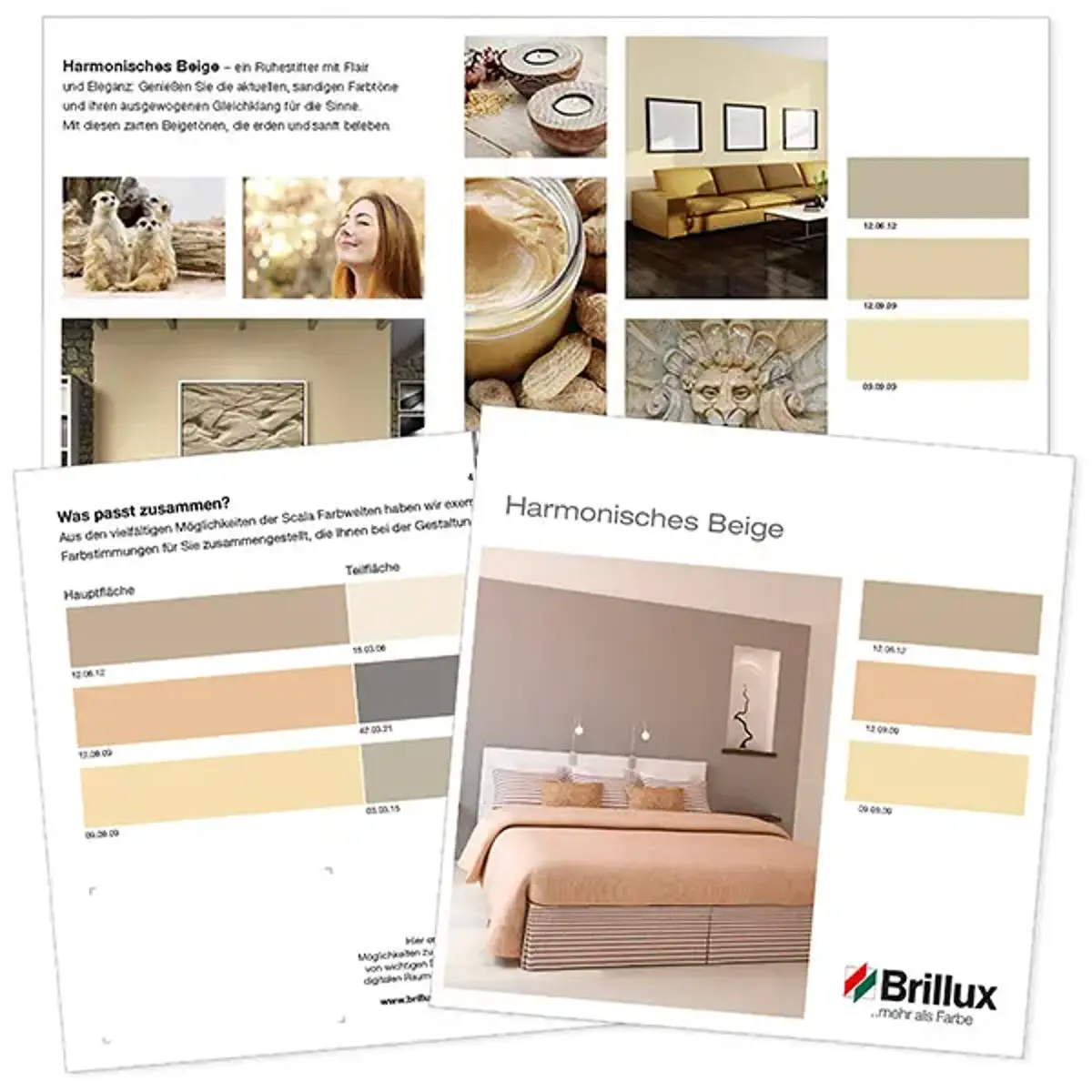 Reduktion trifft Raffinesse: Moderne Einfamilienhausfassade in Beige