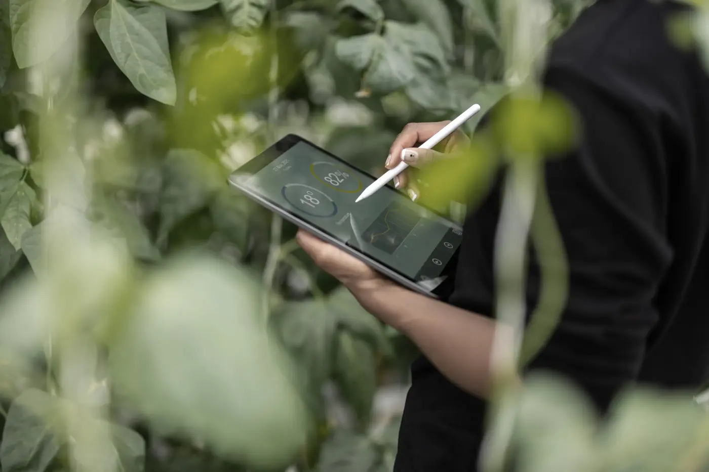 Eine Person zeichnet auf einem Tablet mit einem weißen Stift.