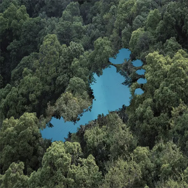 Eine Birds Eye View eines Sees in Form eines Fußabdruck