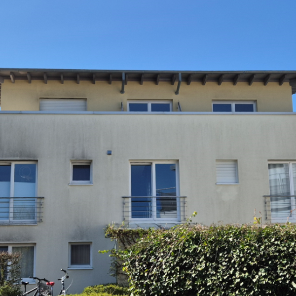 Ein Haus mit Algen