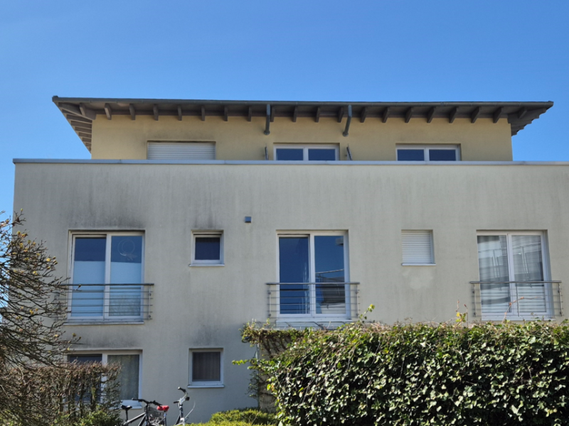 Ein Haus mit Algen