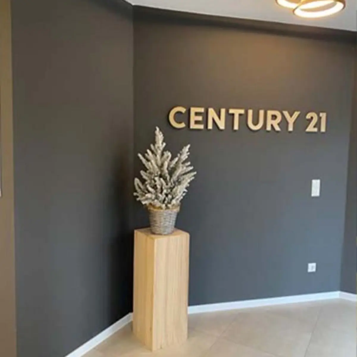 Blaue Wand und davor eine Pflanze auf einem Holzsockel