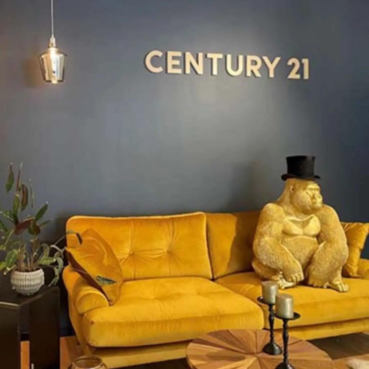 Gelbes Sofa vor blauer Wand