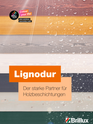 Mehrere bunte Hölzer auf einer Broschüre